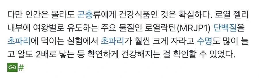 과학으로 정말로 슈퍼 건강식품임이 밝혀진 로열젤리_1.webp