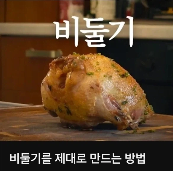 길 비둘기가 착해지는 유일한 방법_1.webp