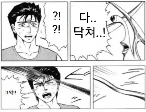 manga_1520077_002.webp