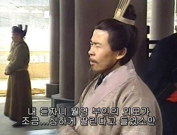 겜안분들과 설전하는 제갈량_25.webp