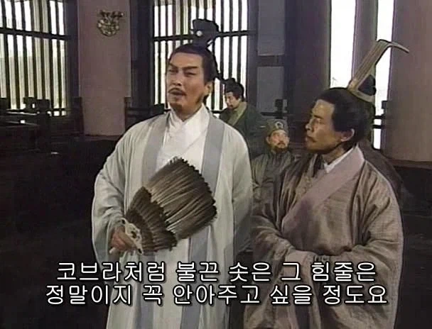 겜안분들과 설전하는 제갈량_29.webp