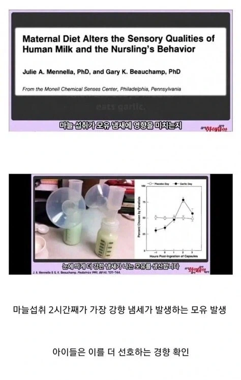 마늘 섭취가 모유에 미치는 영향_1.webp