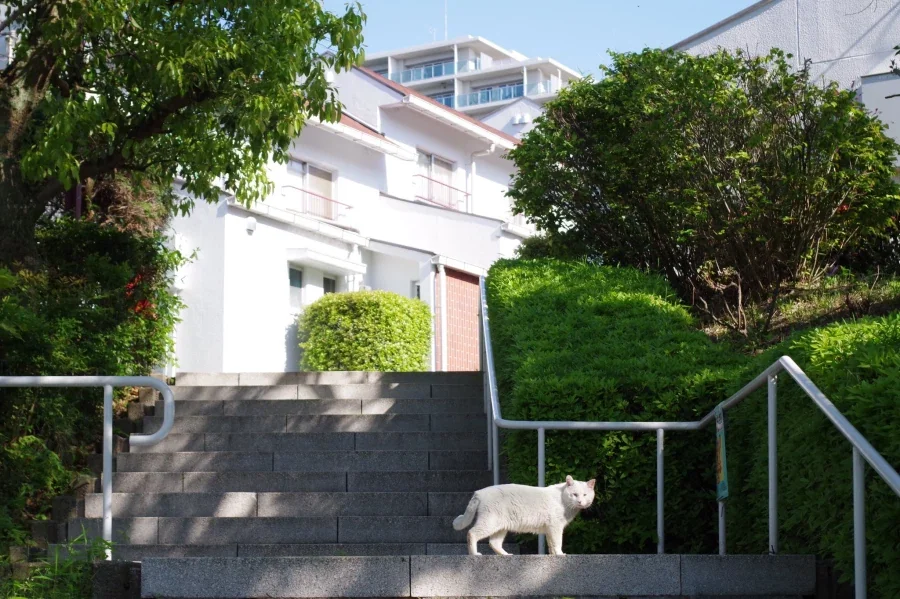 매우 일본스러운 도쿄의 풍경.jpg_15.webp
