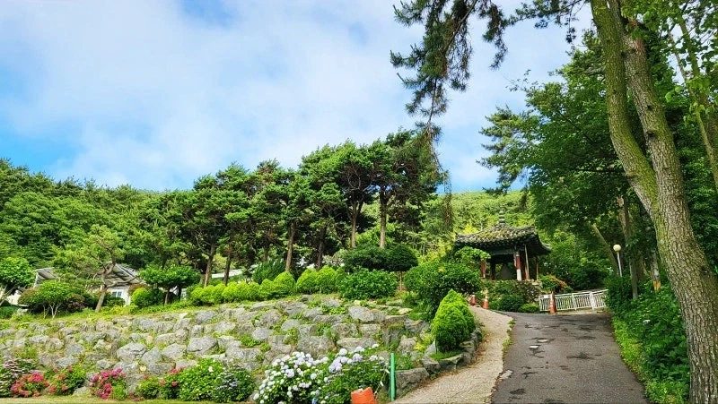 부산 유명관광지에 있는데 의외로 부산 사람들도 잘 모르는 사찰들.jpg_4.webp