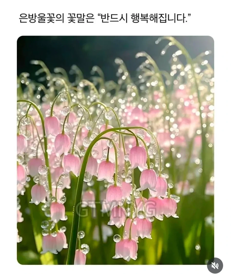 의외인 꽃말.jpe_2.webp
