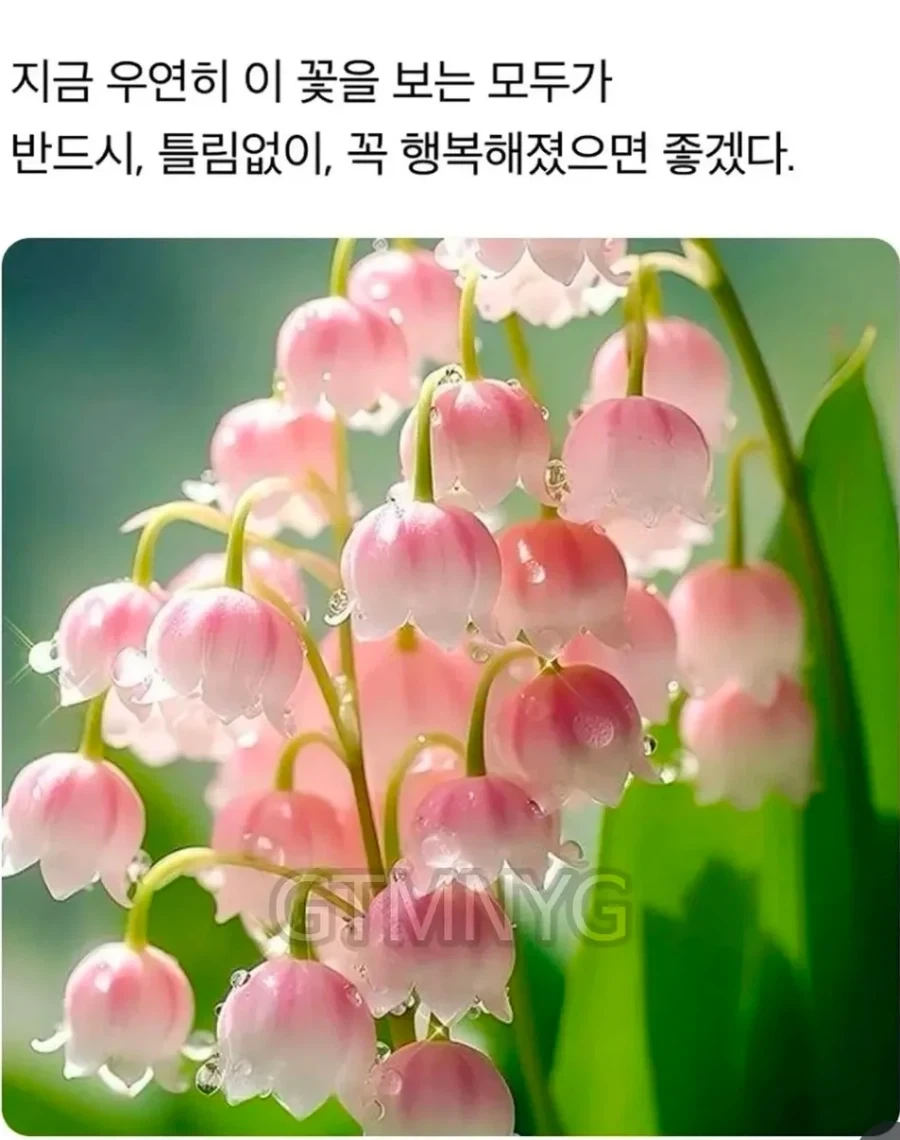 의외인 꽃말.jpe_3.webp