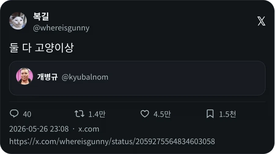 둘 다 고양이상_2.webp