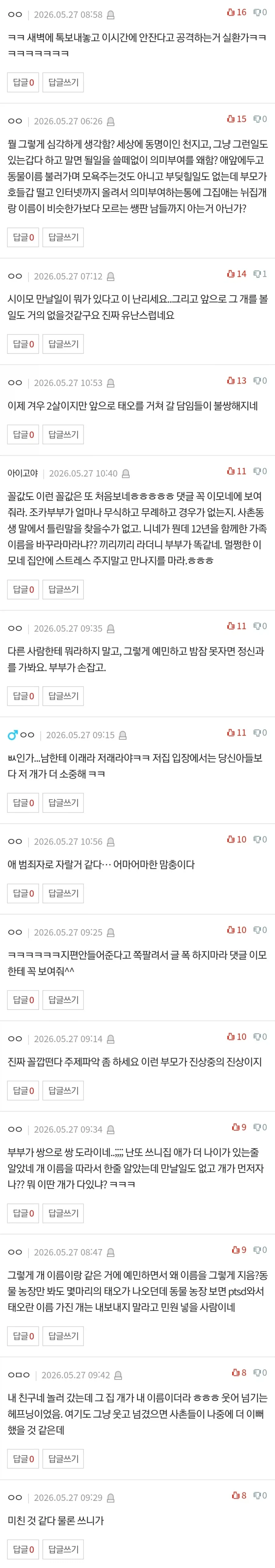 이모네 강아지 테오 vs 사람 태오_5.webp