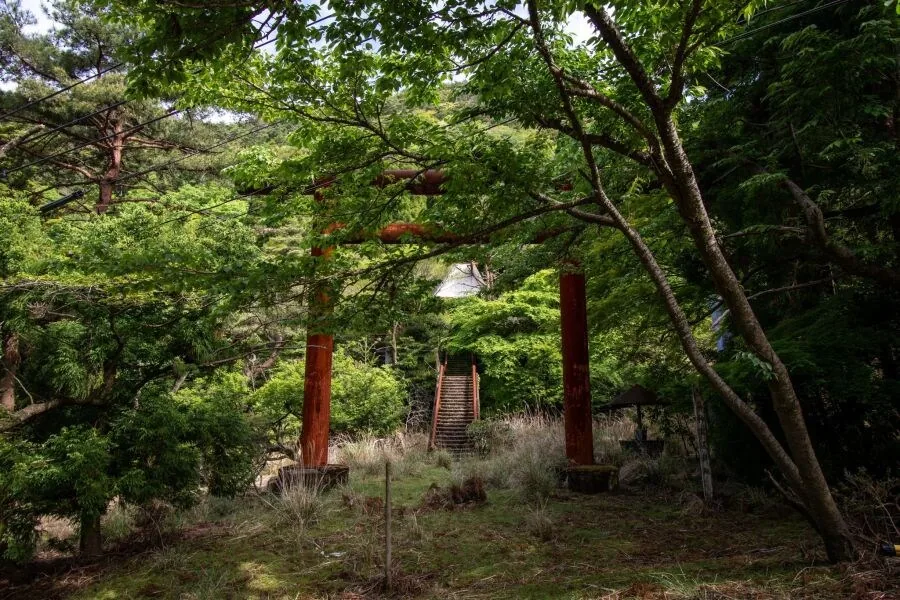 일본, 여름의 폐신사⛩_1.jpg