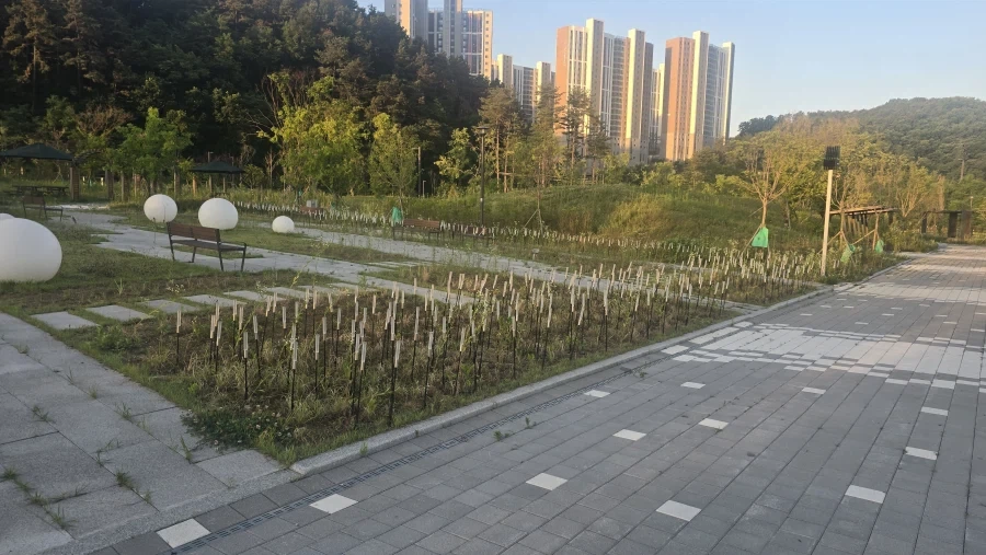 공원에 수만발의 화살들이 꽂혀있다.._1.webp