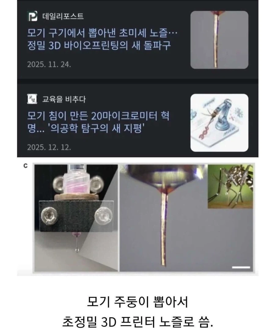 인류에게 도움이 될 수 있게 된 모기_1.webp