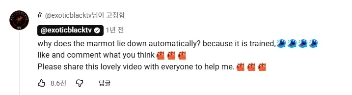 마멋 가죽 가공하는 영상 아님_7.webp