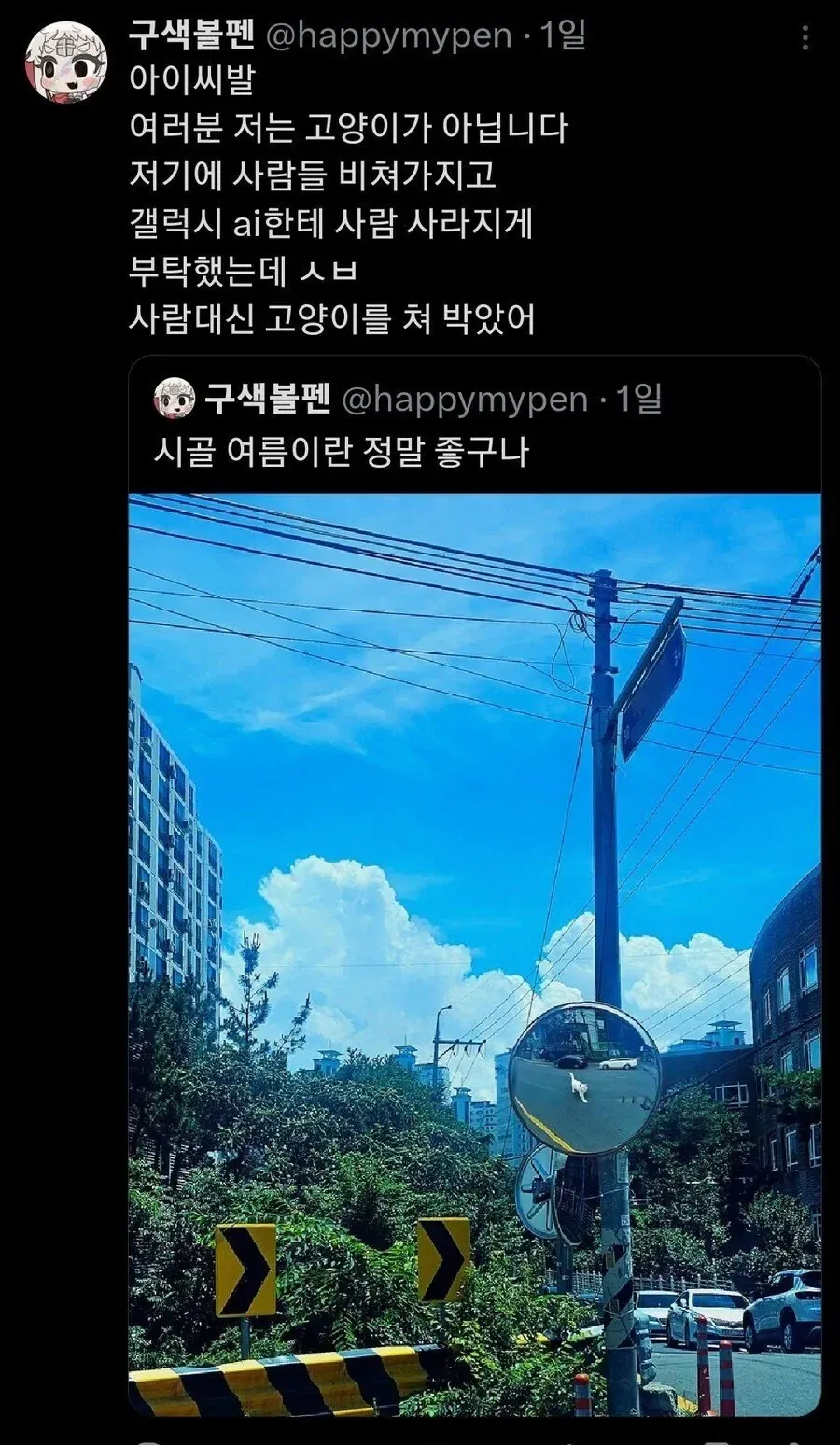 의외로 고양이가 아니라고 주장하는 사진_1.webp
