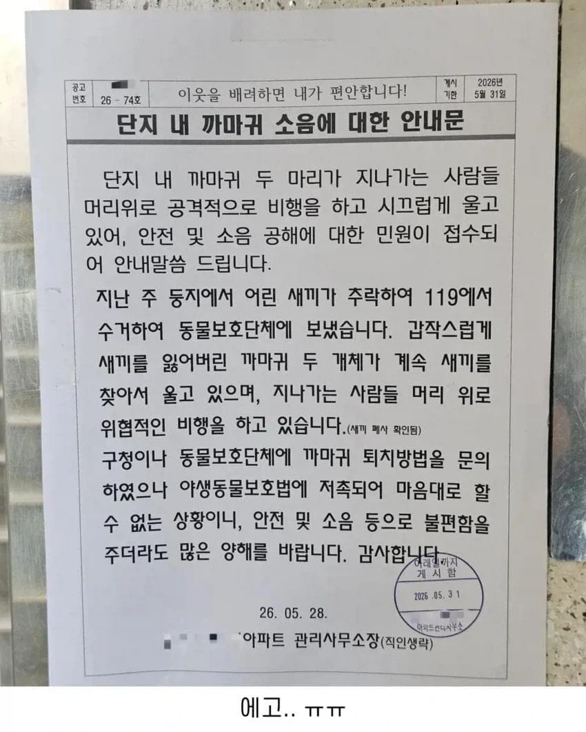 아파트 단지 내 까마귀 소음 안내문_1.webp