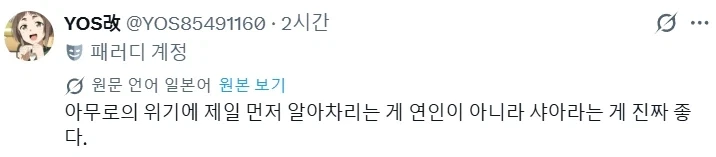 샤아 아무로가 건담 최고의 단짝이라는 증거_1.webp