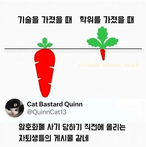 기술을 가졌을 때와 학위를 가졌을 때 차이_1.webp