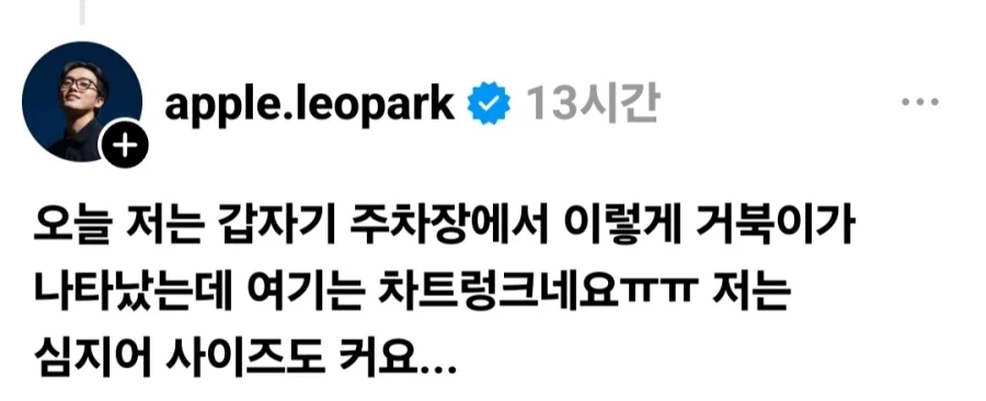 주차장에서 발견한 거북.jpg_1.webp