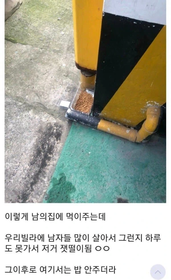 효과적인 캣맘 퇴치방법_1.webp