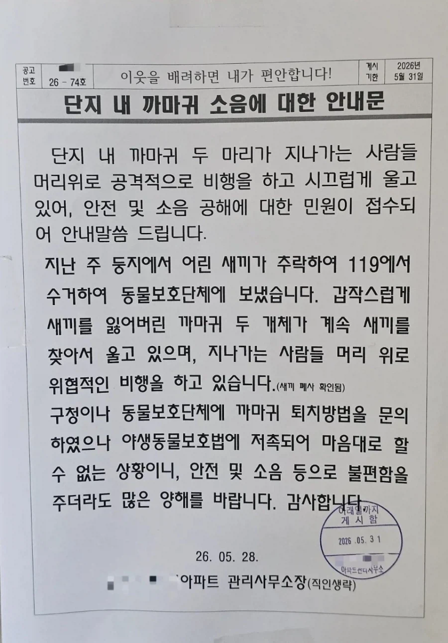 까마귀의 적이 됐다는 아파트단지_1.webp