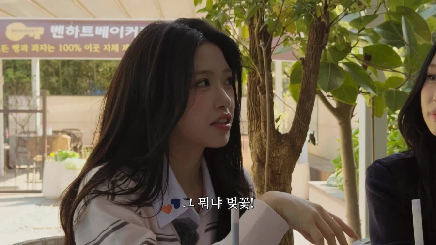 지방출신 아이돌의 숨막히는 힘싸움.jpg_26.webp