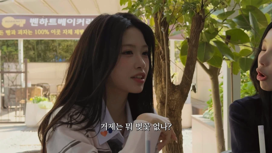 지방출신 아이돌의 숨막히는 힘싸움.jpg_28.webp
