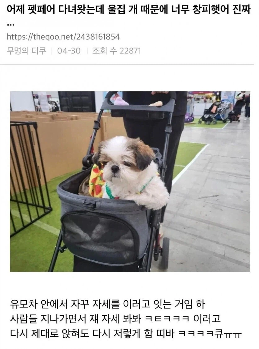 펫페어 갔는데 자기 개 때문에 창피했다는 사람.jpg_1.webp