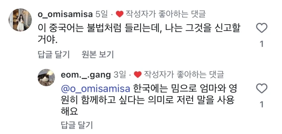 한국 밈 번역으로 혼란스러운 중국인_4.webp