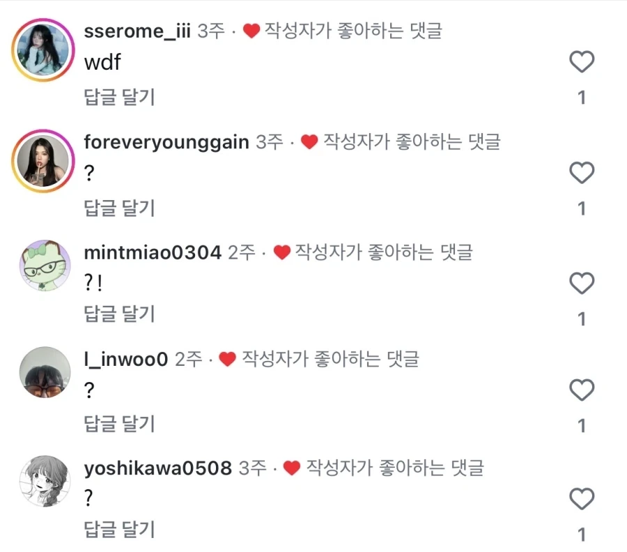 한국 밈 번역으로 혼란스러운 중국인_5.webp