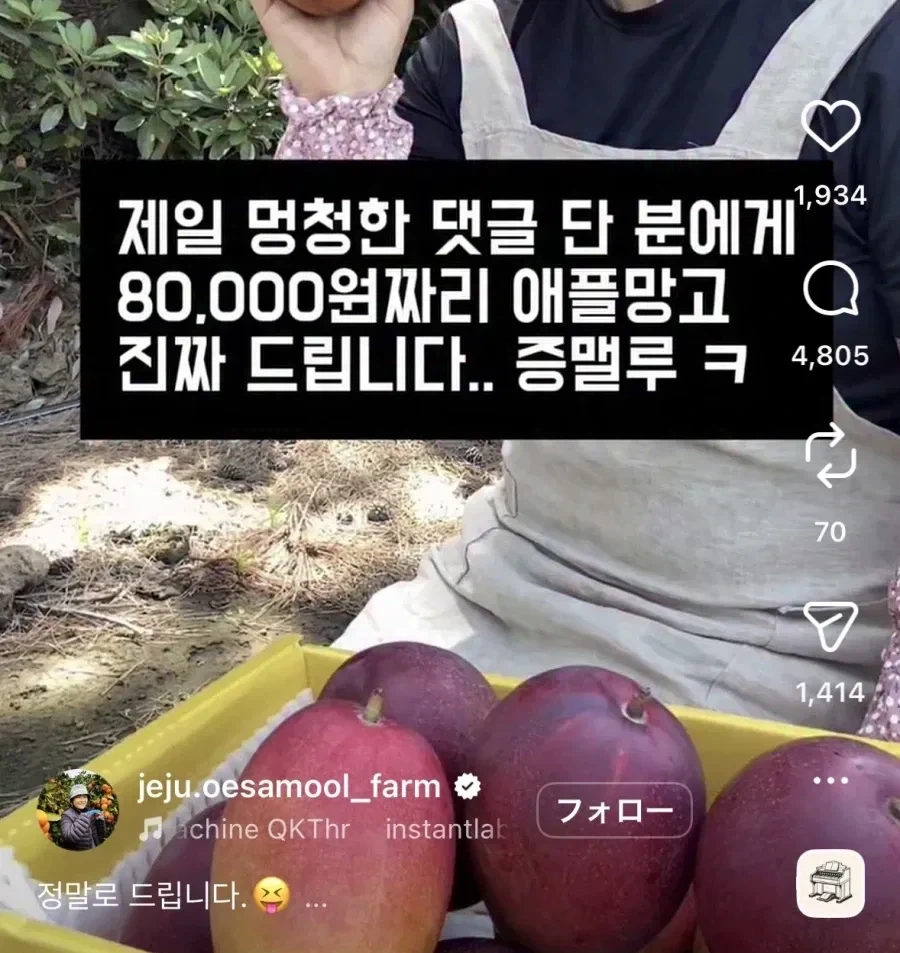 제일 멍청한 댓글 단 분에게 애플망고 드립니다_1.webp