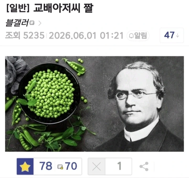 이상적인 교배 아저씨 짤.jpg_1.webp