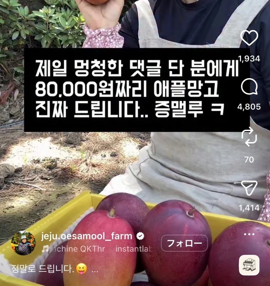 ??? : 멍청댓글에게 애플망고 드립니다.jpg_1.webp