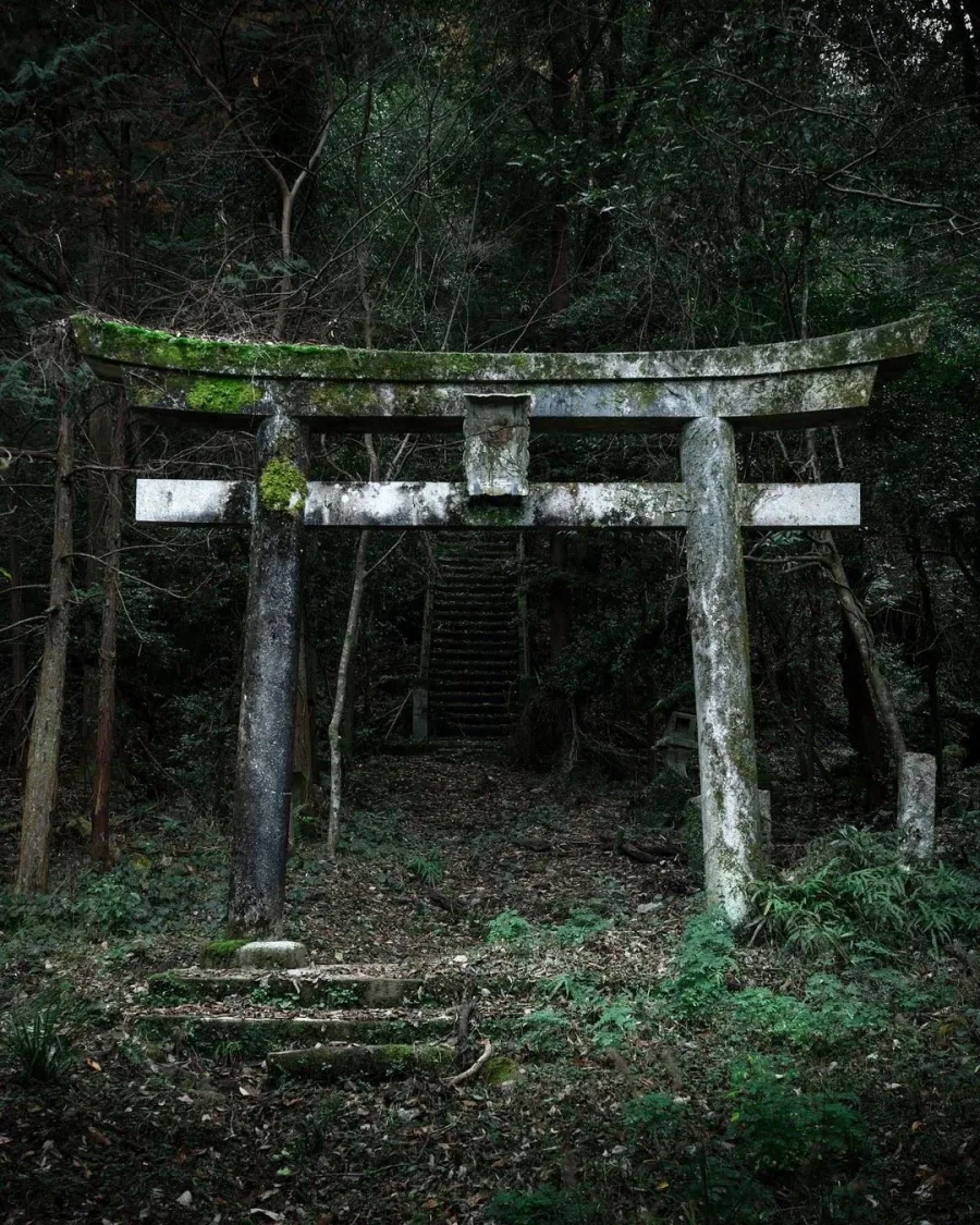 일본 지방여행 가면 의외로 공포스러운 것.jpg_5.webp