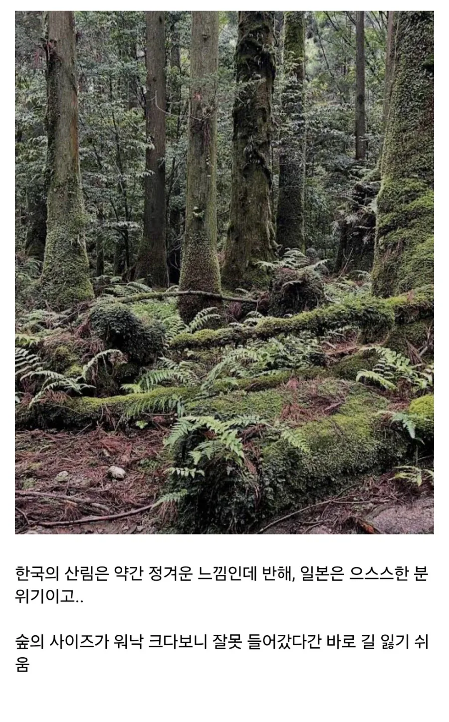 일본 지방여행 가면 의외로 공포스러운 것.jpg_9.webp
