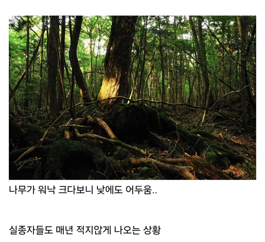 일본 지방여행 가면 의외로 공포스러운 것.jpg_11.webp
