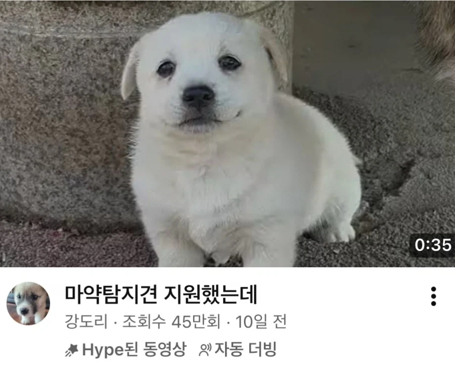 ㅁㅇ탐지견 지원.jpg_1.webp