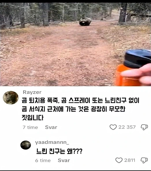 곰 서식지를 지나가야 할 때 필요한 것들_1.webp