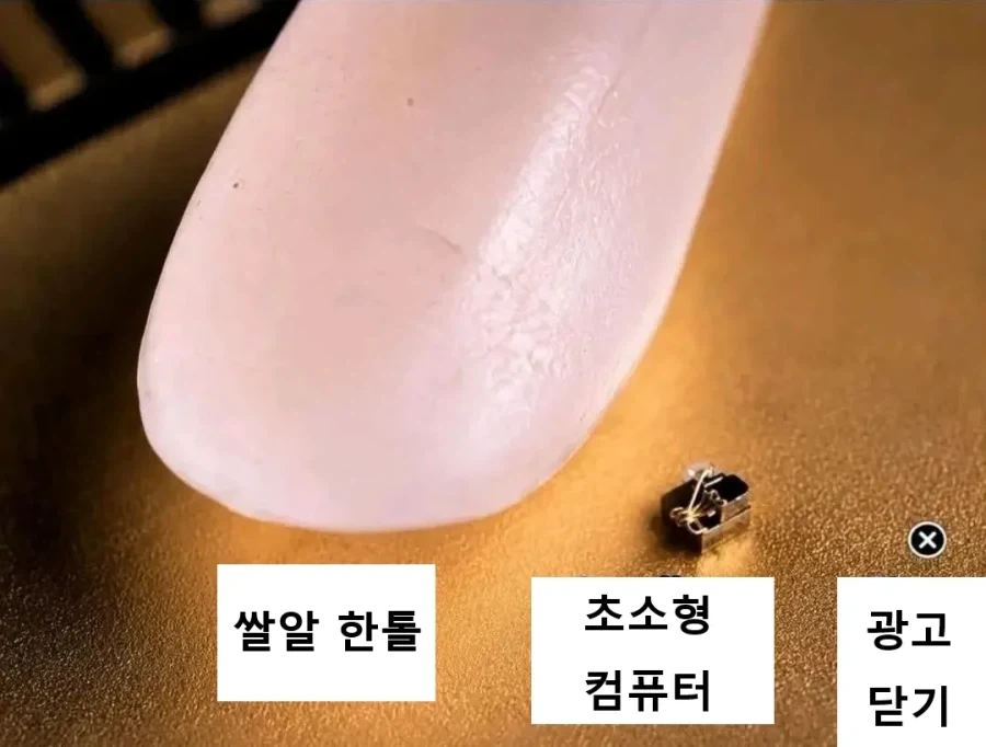 심기가 불편해지는 크기 비교_1.webp