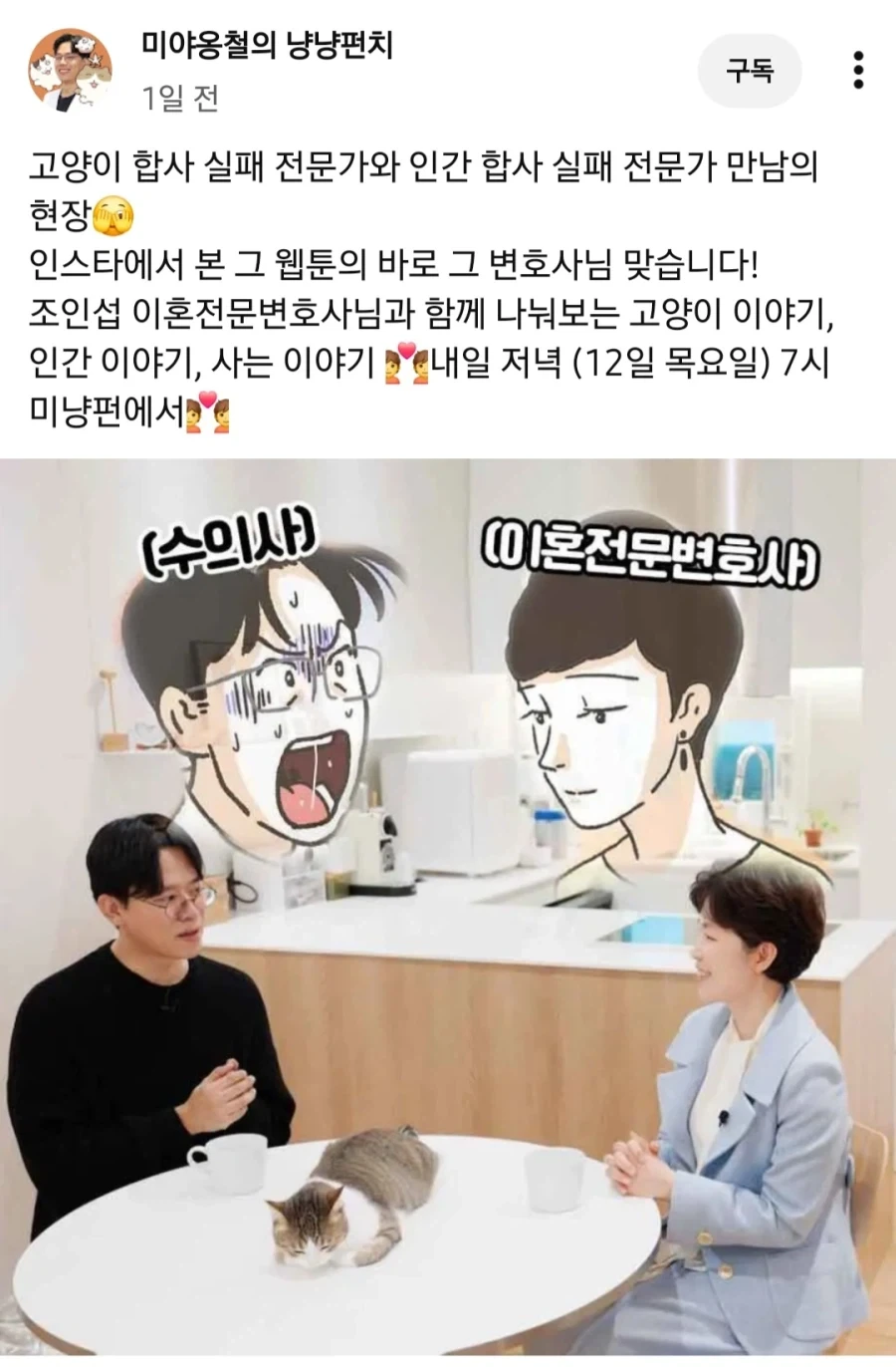 이혼전문 변호사랑 수의사의 공통점_1.webp
