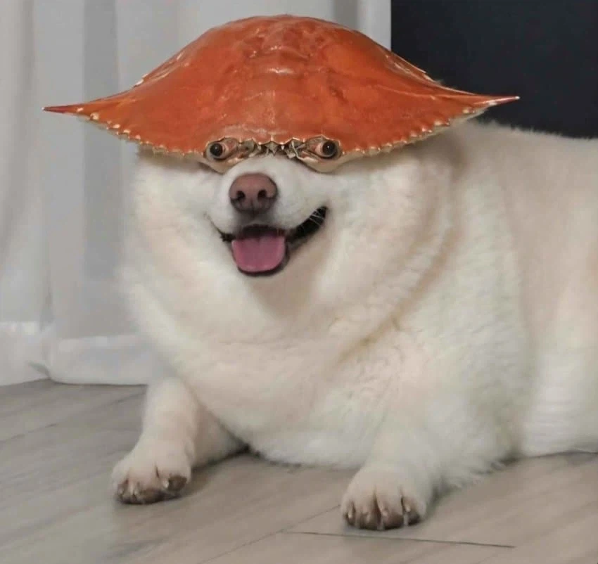 ㄱㅔㅐ_1.webp