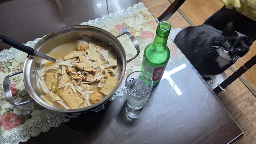 퇴근후 야옹이랑 소소하게 한잔함_1.webp
