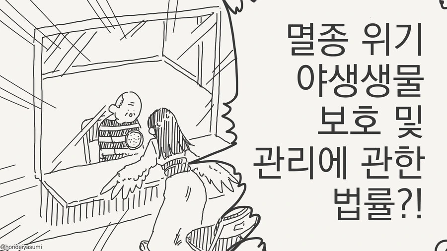 manga_68291694_004.webp