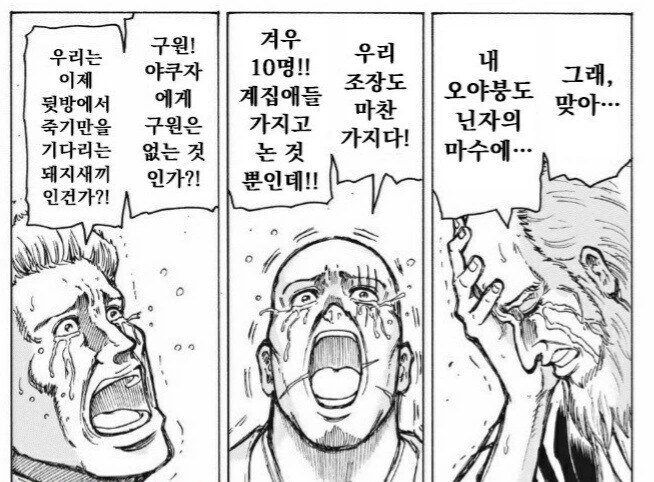 어느 만화의 닌자에게 당한 이들의 절규_2.jpg