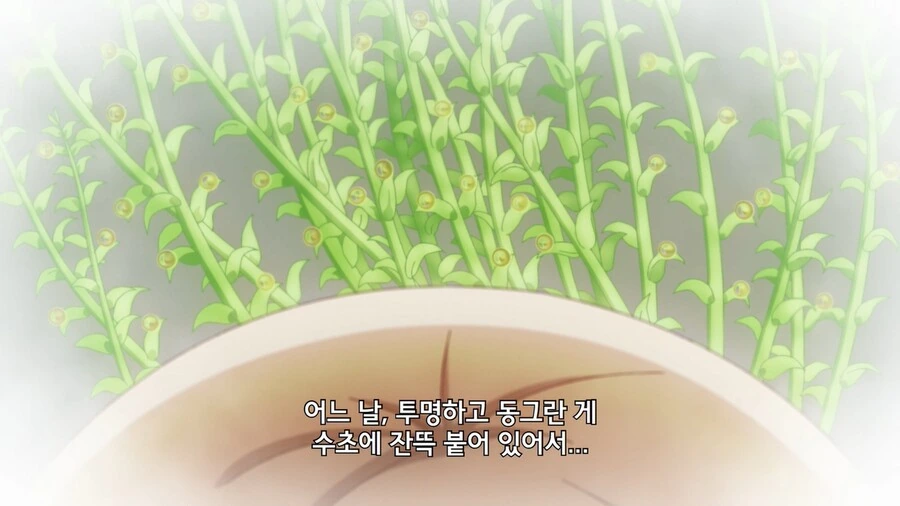 manga_920114_004.webp