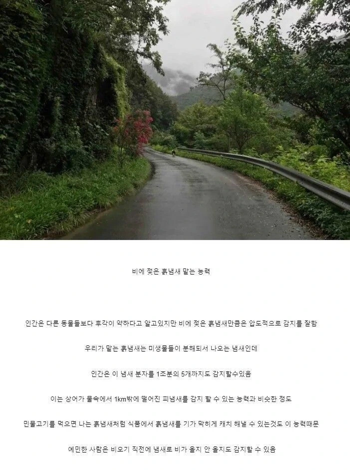 의외로 인간만이 압도적으로 발달한 능력_1.jpg