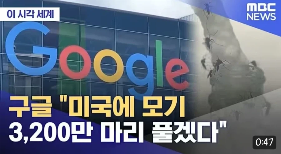 구글 미국에 테러 감행_1.webp