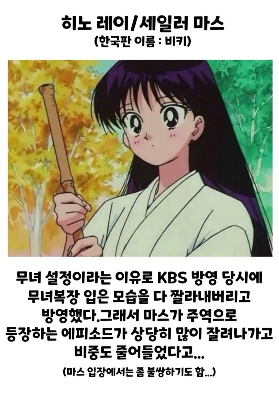 세일러문)KBS판 방영 당시 제일 피해를 많이 입은 캐릭터_1.webp