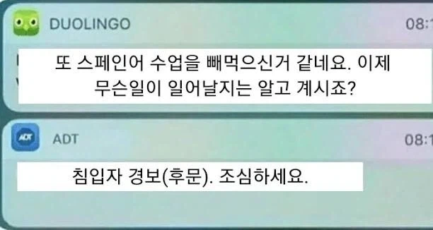 듀오링교:넌 스페인어 공부를 소중히여기지 않았지_1.webp