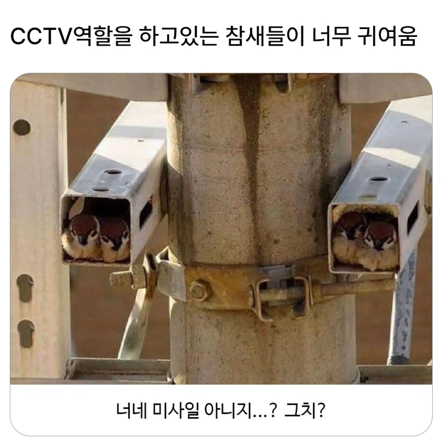 친환경 CCTV_1.webp