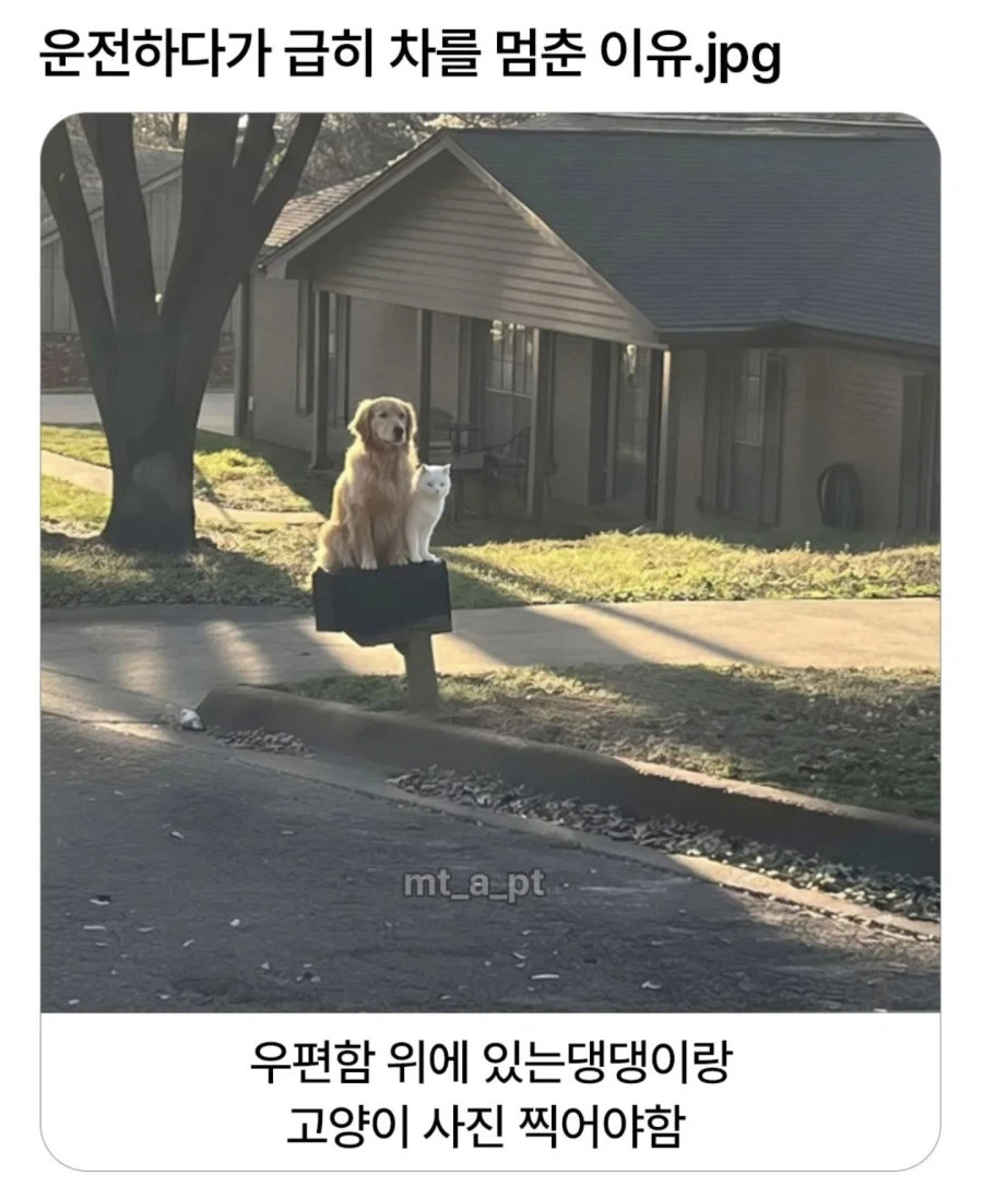 누구나 차를 세울수 밖에 없는 이유_1.webp