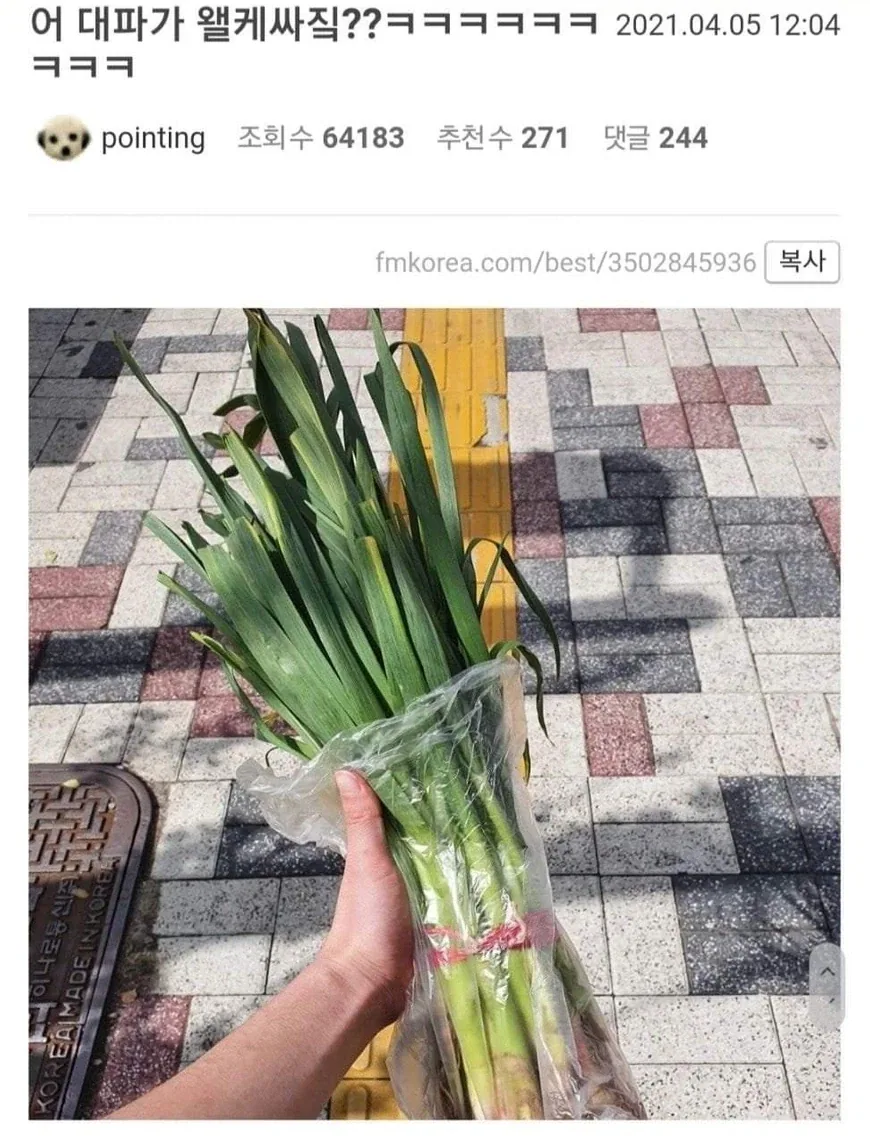 대파인줄 알고 샀는데 대파가 아님.jpg_1.webp